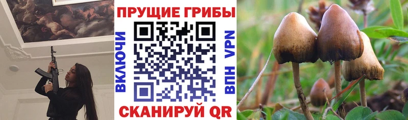 Псилоцибиновые грибы Psilocybe  Иркутск 